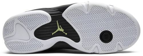Air Jordan 14 Retro Indiglo